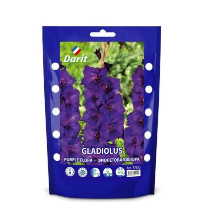 Гладиолус Фиолетовая флора Gladiolus Purple Flora 14/+, Darit Дой-пак 7шт