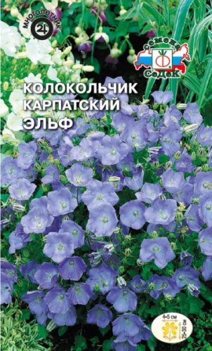 Колокольчик Эльф карпатский, семена Седек 0,1г