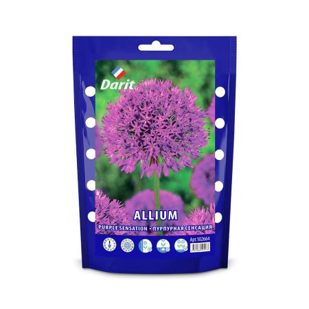 Аллиум Пурпурная сенсация/ Allium Purple Sensation 12/14, Darit 5 шт/уп