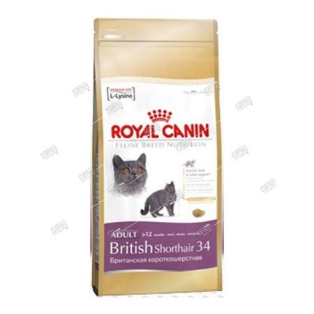 royal canin корм для кошек британская короткошерстная эдалт от 1 года 10кг 