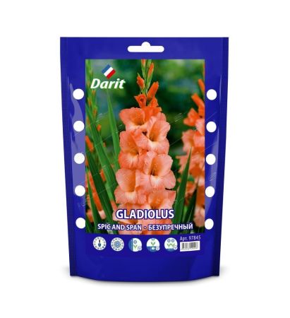 Гладиолус Безупречный Gladiolus Spic and Span 12/+, Darit Дой-пак  7шт