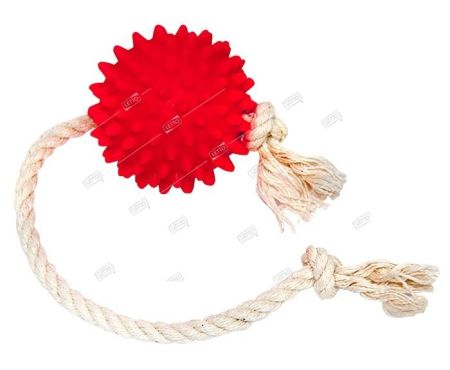 игрушка для собак мяч на веревке зооник 16473