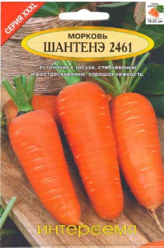 Морковь Шантанэ 2461, семена Интерсемя XXXL 10г
