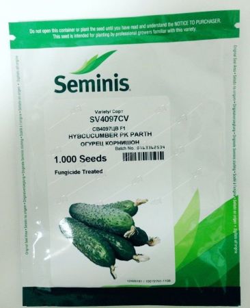 Огурец СВ 4097 F1, семена Сименис Профи Крупная фасовка 1000шт