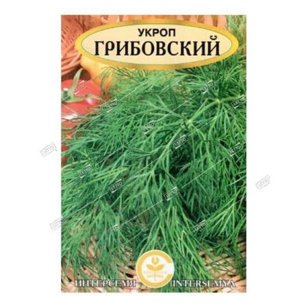 Укроп Грибовский, семена Интерсемя 2,5г