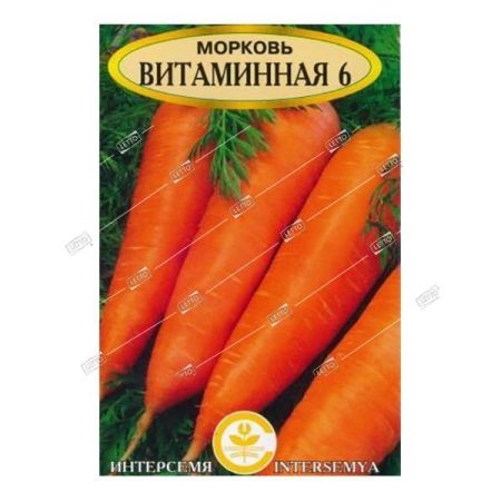 Морковь Витаминная 6, семена Интерсемя 2г