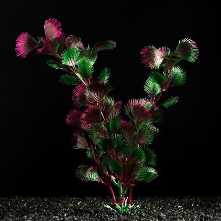 растение искусственное аквариумное 4*20 см, розово-зелёное, пижон аква