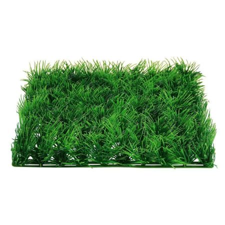 растение "коврик" зеленый, 250*250*30мм, laguna