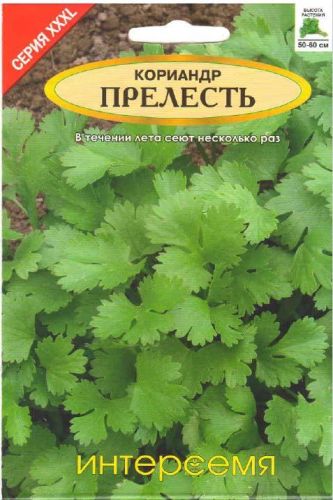 Кориандр Прелесть, семена Интерсемя XXXL 20г