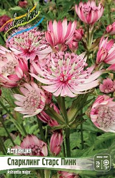 Астранция Спарклин Старс Пинк Astrantia Sparkling Stars Pink Trademark I 1ш, капер, Колорлайн