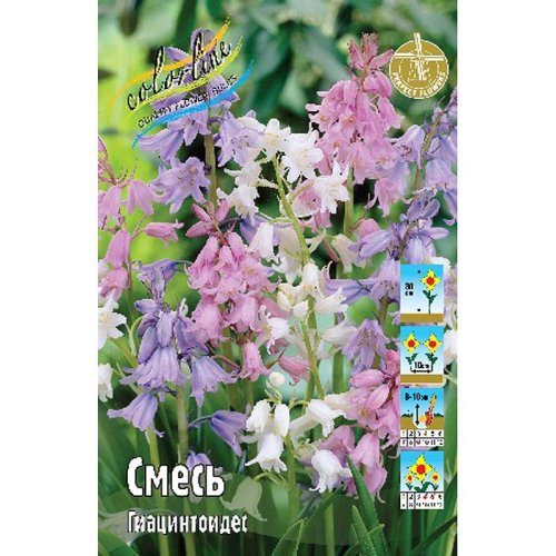 Гиацинтоидес Смесь Hyacinthoides hispanica mixed 6/7 10шт, капер, Колорлайн