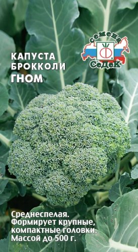 Капуста брокколи Гном, семена Седек 0,5г