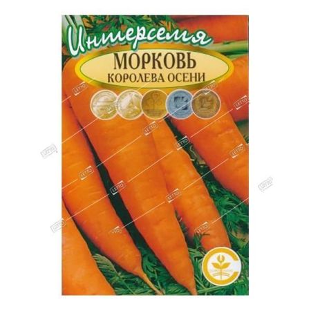 Т/морковь Королева Осени средн *2г