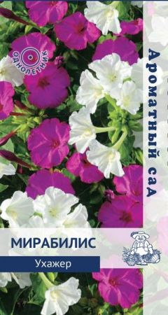 Мирабилис Ухажер, семена Поиск Ароматный сад 1г