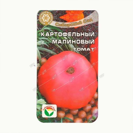 И/томат Картофельный малиновый средн Д *20шт