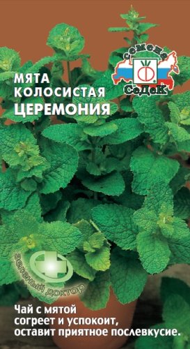Мята Церемония колосистая, семена Седек 0,05г