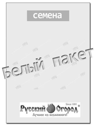 Кориандр (кинза) Янтарь, семена Русский огород кольчуга 3г