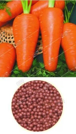 Морковь Шантане Королевская, семена Весовые кг