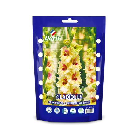 Дой-пак Гладиолус Феноменальный Gladiolus Fenomenal 14/+(крупноцветк., гофр., кремовый) 5шт
