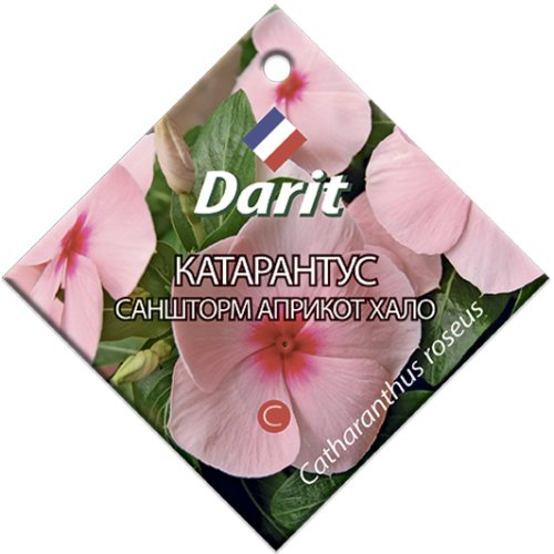 Катарантус Саншторм Априкот Хало, семена Дарит 10шт (500)