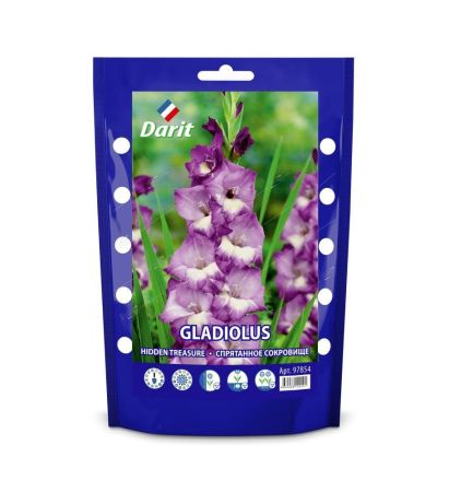 Дой-пак Гладиолус Спрятанное сокровищ Gladiolus Hidden Treasure 14/16 (крупноцветк., фиолетовый) 5шт