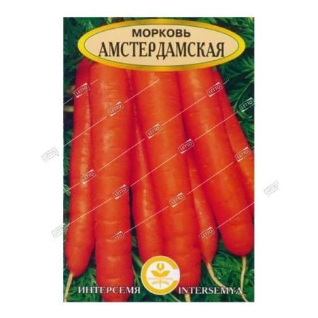 Морковь Амстердамска, семена Интерсемя 1г