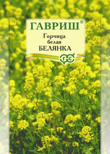Горчица белая Белянка, семена сидерата Гавриш Крупная фасовка 0,5кг
