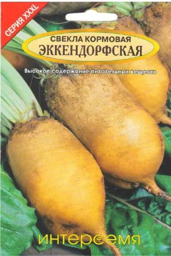 Свекла кормовая Эккендорфская желтая, семена Интерсемя XXXL 10г