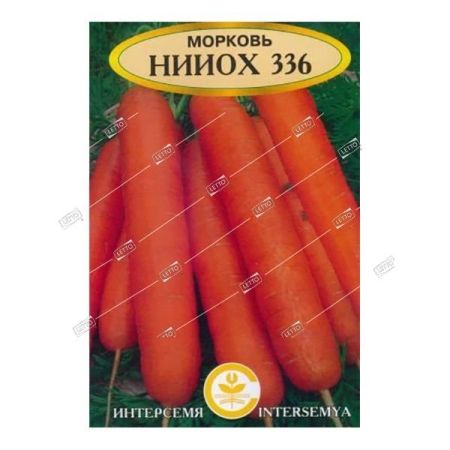 Морковь НИИОХ 336, семена Интерсемя 2г