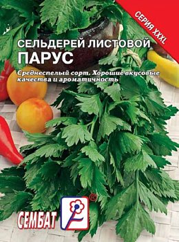 Сельдерей листовой Парус, семена Интерсемя XXXL 3г