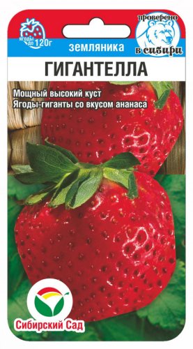 Клубника Гигантелла, семена Сибирский сад 10шт