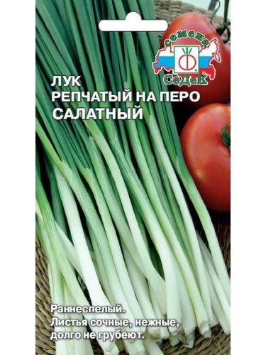 Лук репчатый на перо Салатный, семена Седек 1г