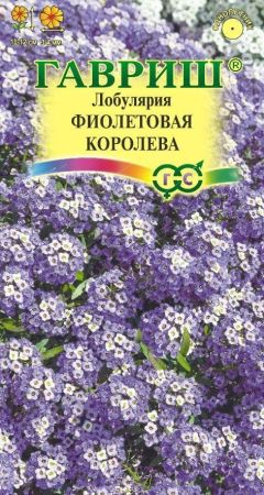 Лобулярия Фиолетовая королева, семена Гавриш Сад ароматов 0,05г