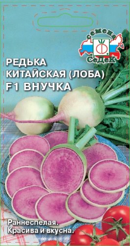 Редька китайская (лоба) Внучка F1, семена Седек 1г
