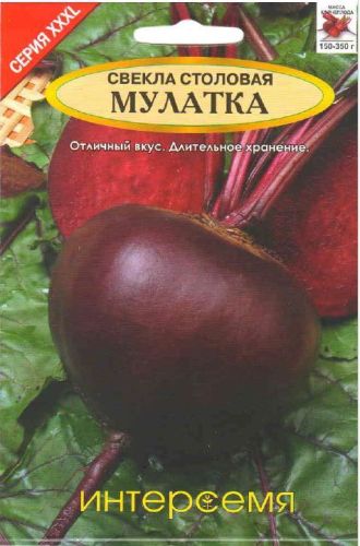 Свекла Мулатка, семена Интерсемя XXXL 10г