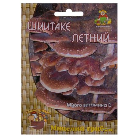 Шиитаке летний, мицелий грибов Поиск 12шт