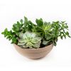 Суккулент Композиция микс Succulenten mix р27