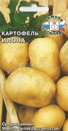 Картофель Илона, семена Седек 0,2г