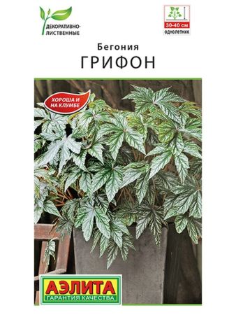 Бегония декоративно-лиственная Грифон, семена Аэлита 3шт