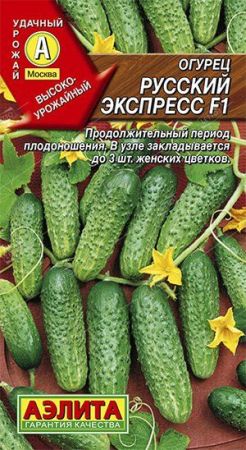 Огурец Русский экспресс, семена Аэлита 10шт