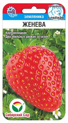 Клубника Женева, семена Сибирский сад 10шт