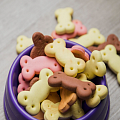 Лакомства для кошек