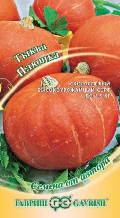 Тыква Плюшка оранжевая, семена Гавриш Автор 2г