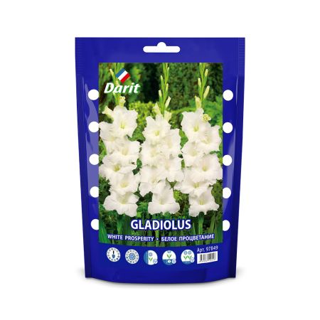 Гладиолус Белое процветание Gladiolus White Prosperity 12/+, Darit Дой-пак 7шт