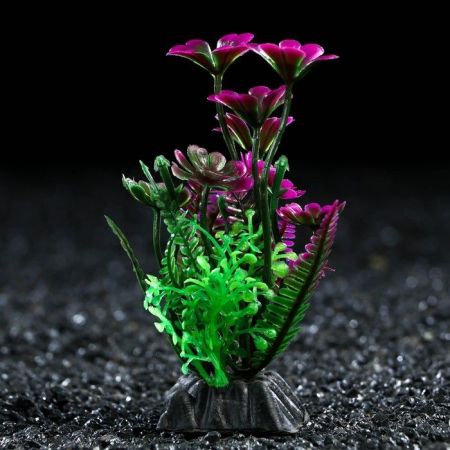 растение искусственное аквариумное 3*9см, фиолетово-зелёное, 1 шт, пижон аква