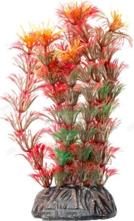 растение "амбулия" красная, 100мм 74044024 laguna