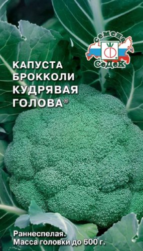 Капуста брокколи Кудрявая голова, семена Седек 0,5г