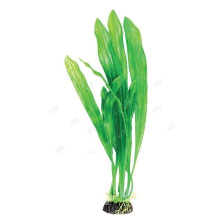 растение "эхинодорус" зеленый, 200мм 74044036 laguna