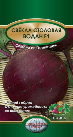 Свекла Водан, семена Поиск Лидеры мировой селекции 2г