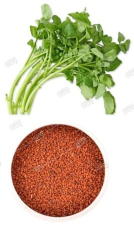 Салат Кресс-салат Весенний, семена Весовые кг